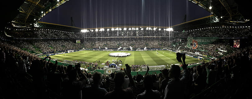 celtic-park-fans